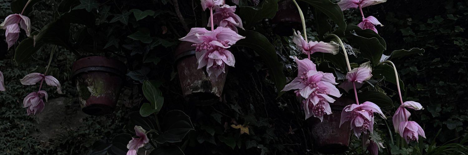 W banner