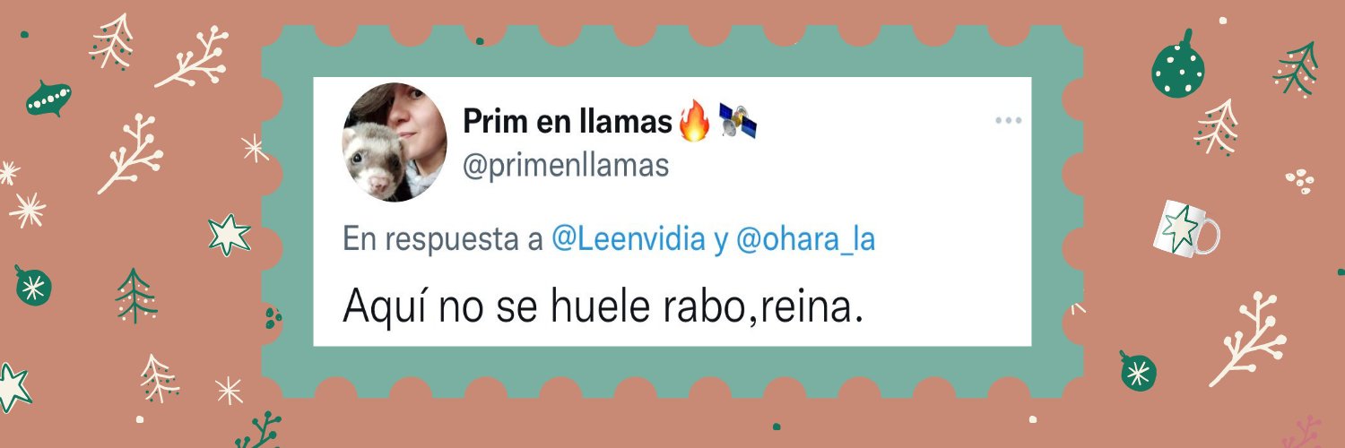 Prim en llamas🔥🛰️'s banner