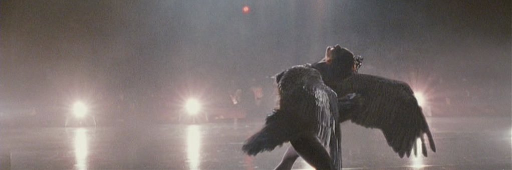 matthias 🇩🇪|🇵🇸 banner