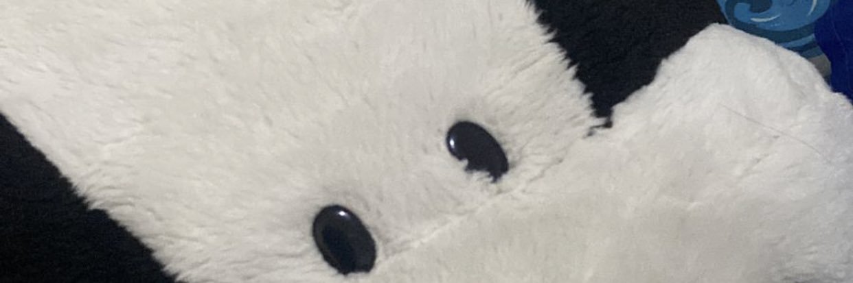 ditods03's profile banner image