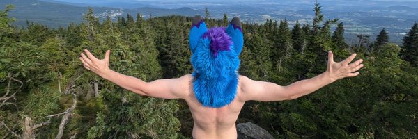 AmiBluefoxAD Profile Banner