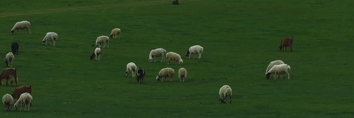 Maaran 📎 மாறன் banner