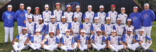 Pascagoula Panther Baseball Profile Banner