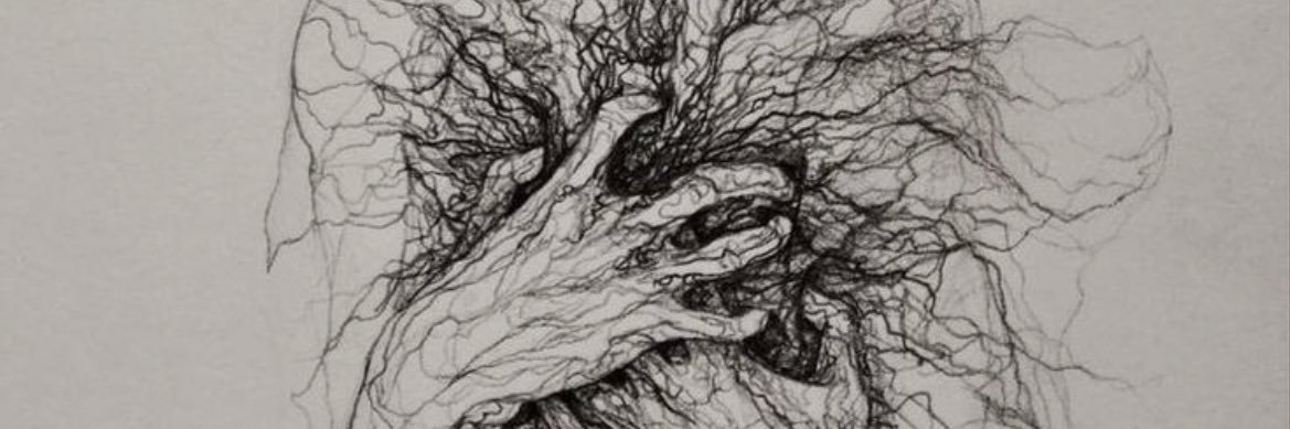 nwf1852403's profile banner image