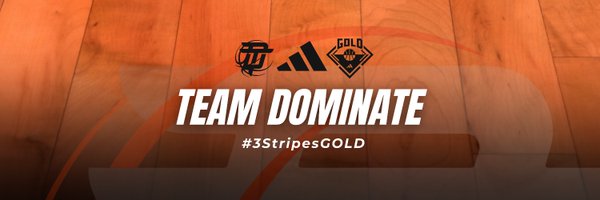 TeamDominate27 Profile Banner