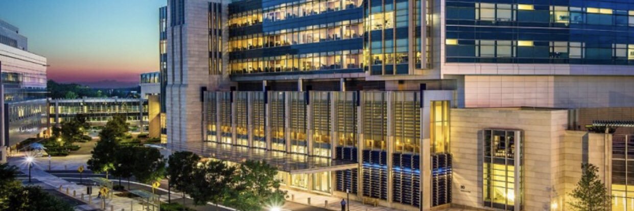 Brian Mac Grory banner