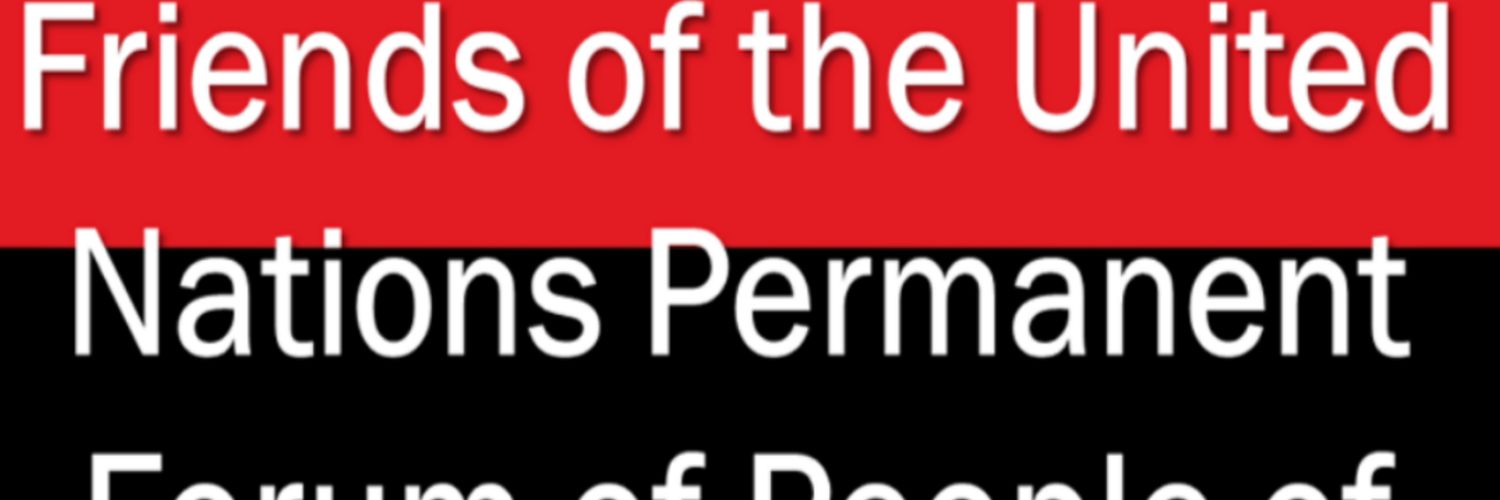 Friends of the United Nations PFPAD banner