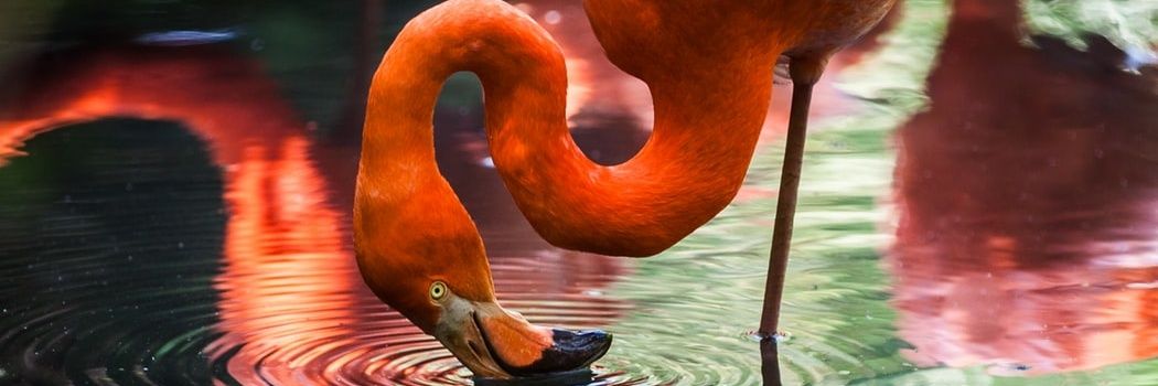 SamuelRanger's profile banner image