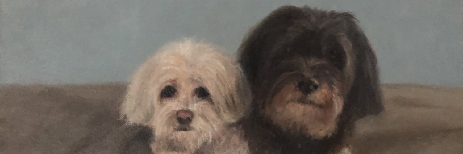 MJPaluszek's profile banner image