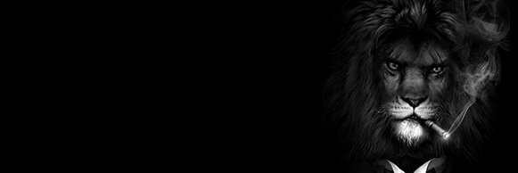 NGalhenkanda's profile banner image