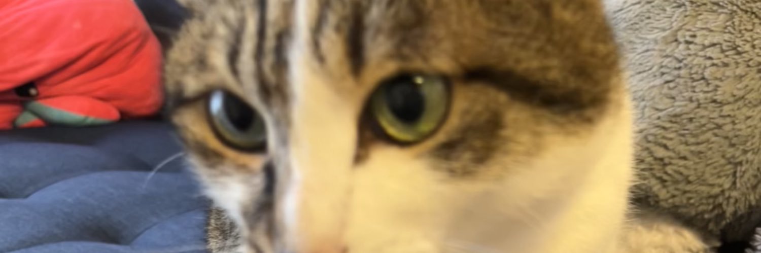 totti_fd2's profile banner image