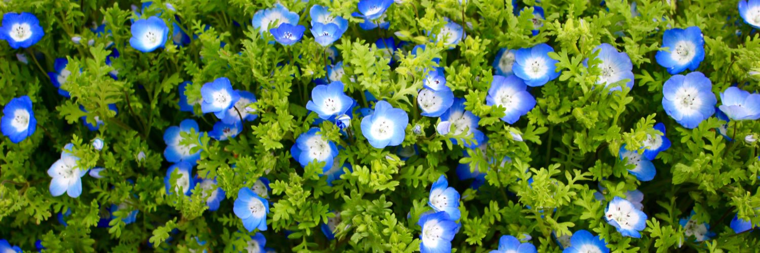 marimo_1208's profile banner image