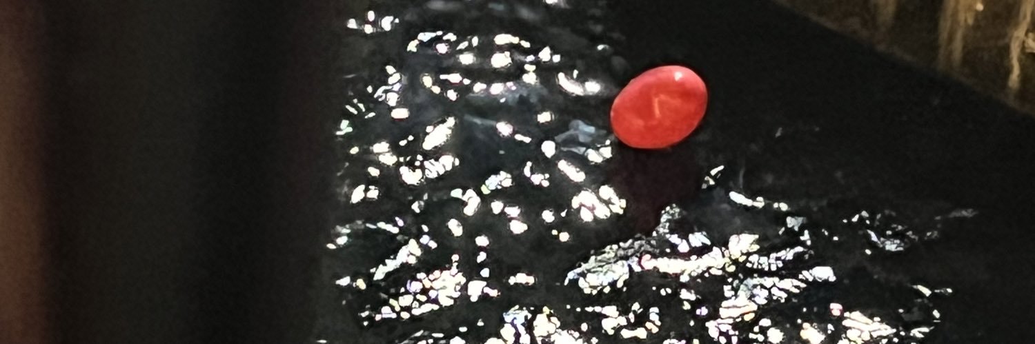 seevgibiber's profile banner image