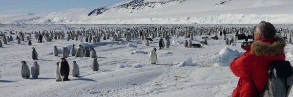 GiorgioDibbe Profile Banner