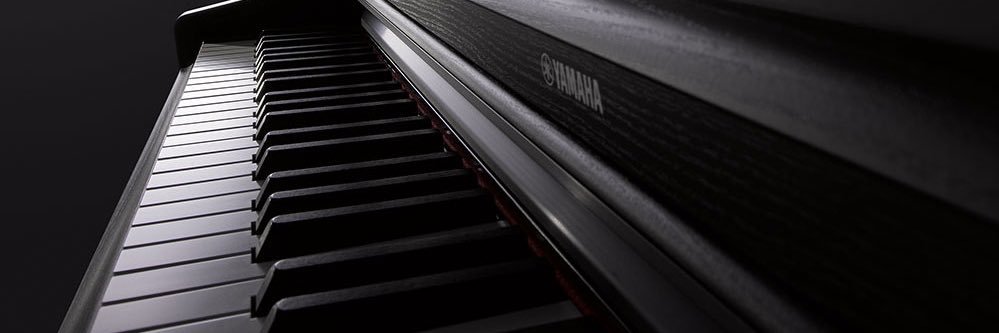 هنرمندِ بی اعصاب banner