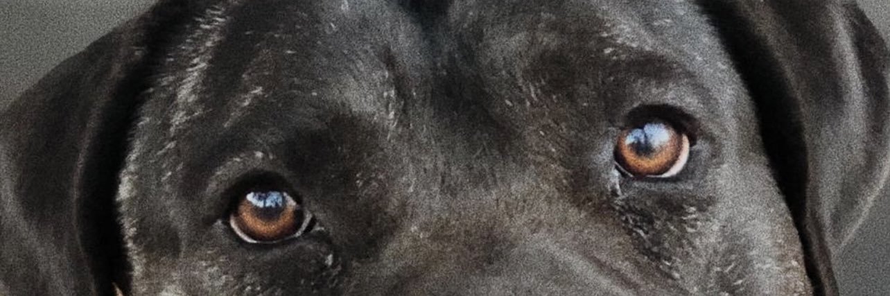 ofe🇮🇨 banner