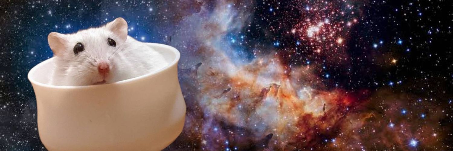 sugaretter's profile banner image
