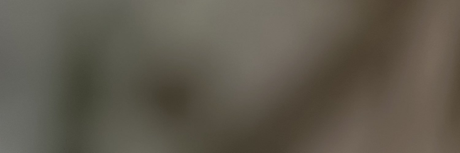 zg8291's profile banner image
