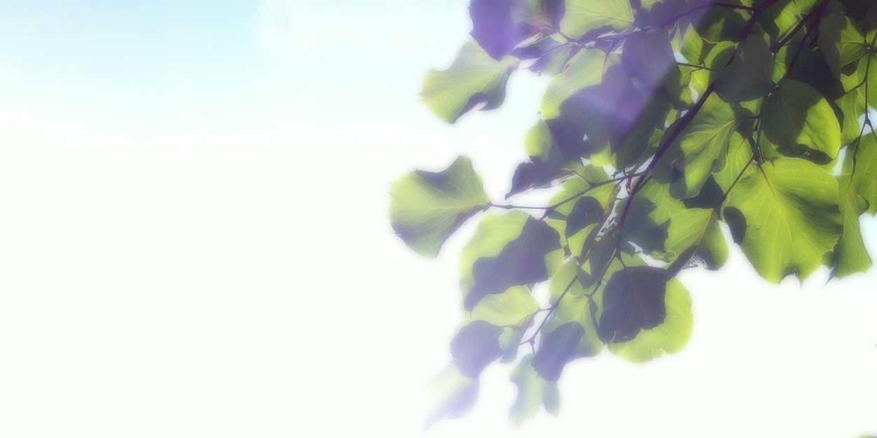 Fog_69's profile banner image
