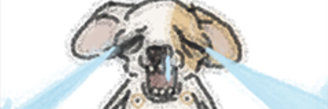 Divi 大王π² 🌊 RIVER banner