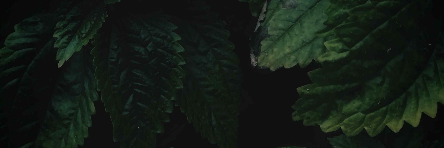 JohnathanKee293's profile banner image