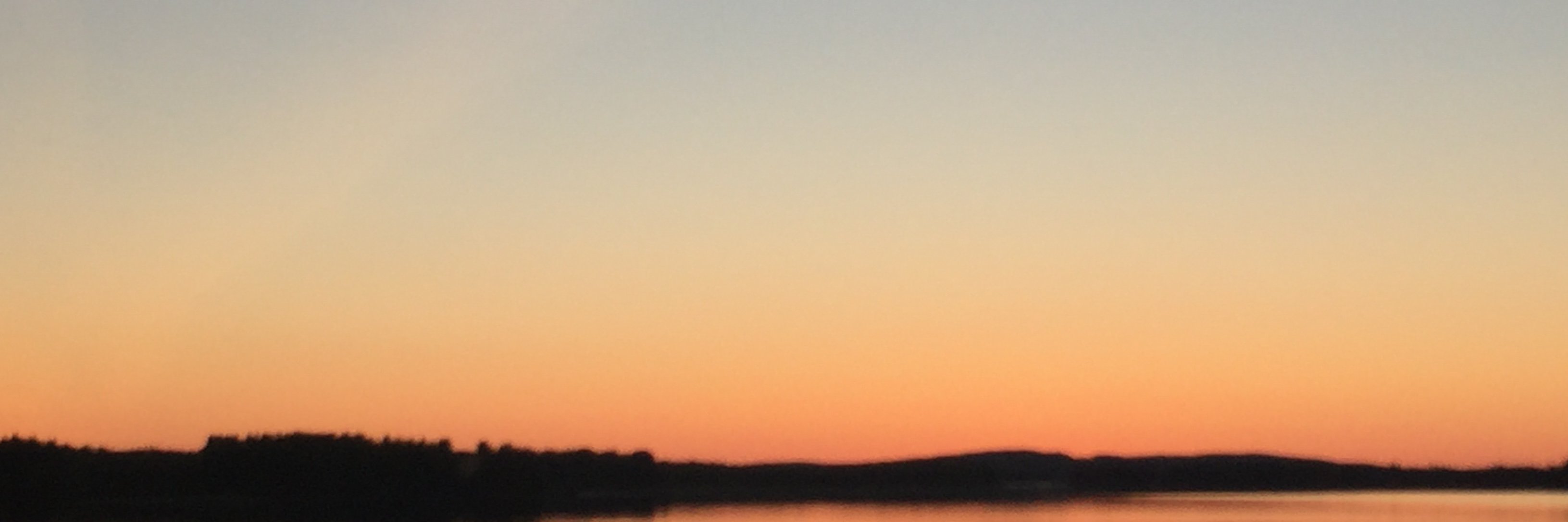 Maarit Aarni-Sirviö's banner