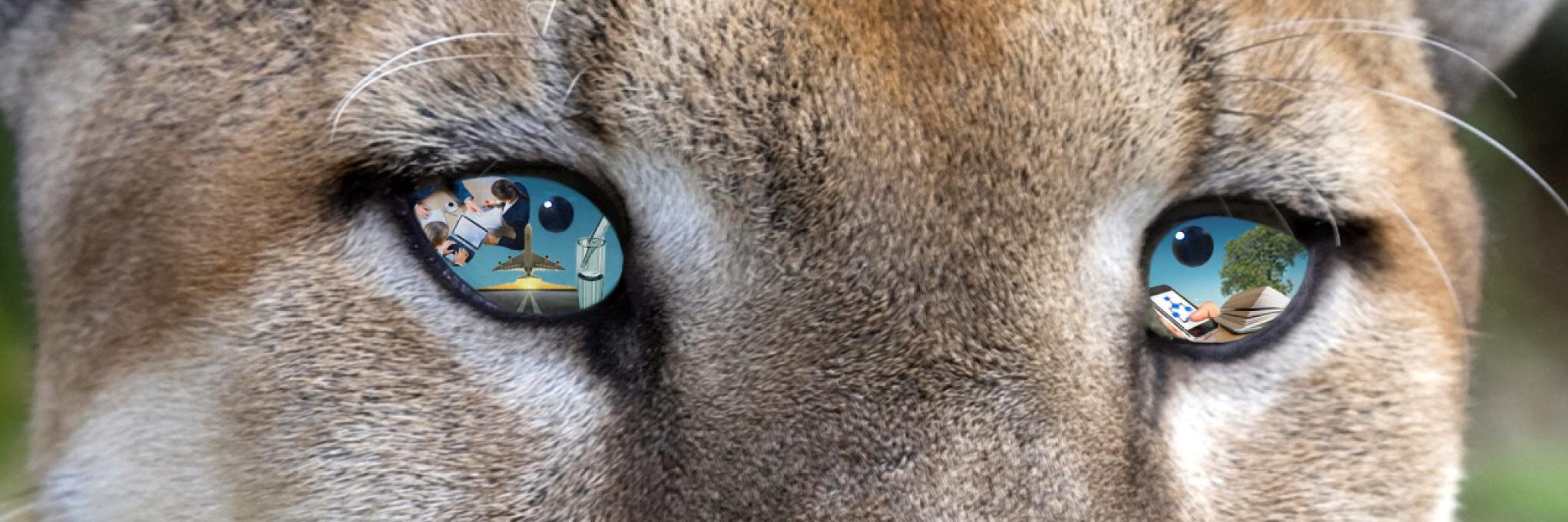 Pumacy Technologies banner