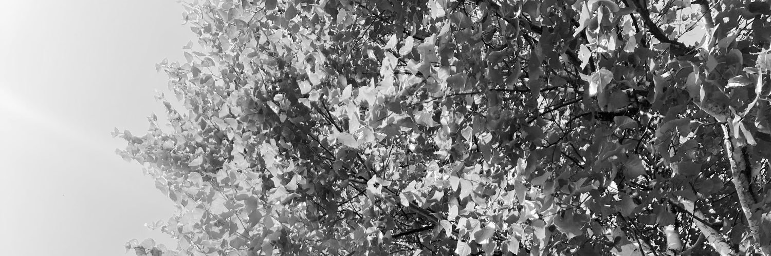 324real's profile banner image