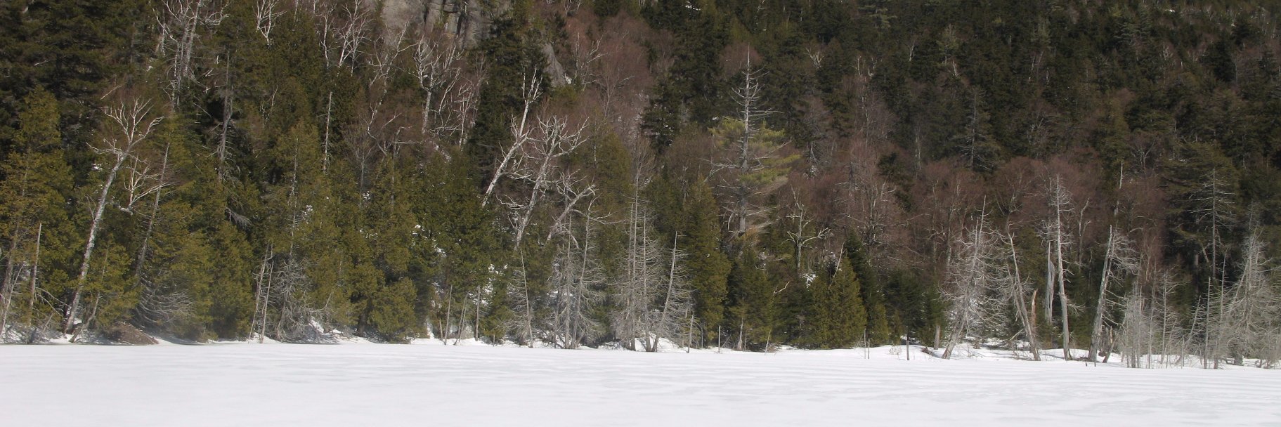 varud's profile banner image