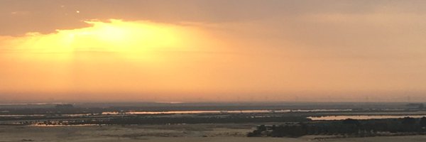 _maya_allison Profile Banner