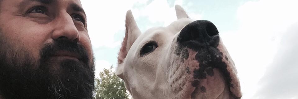 tayfunaldogan's profile banner image