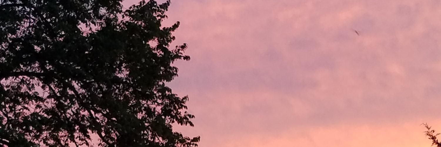 SuzanneDailey5's profile banner image
