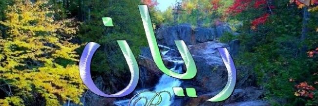 Rayn 🌎 ريان banner