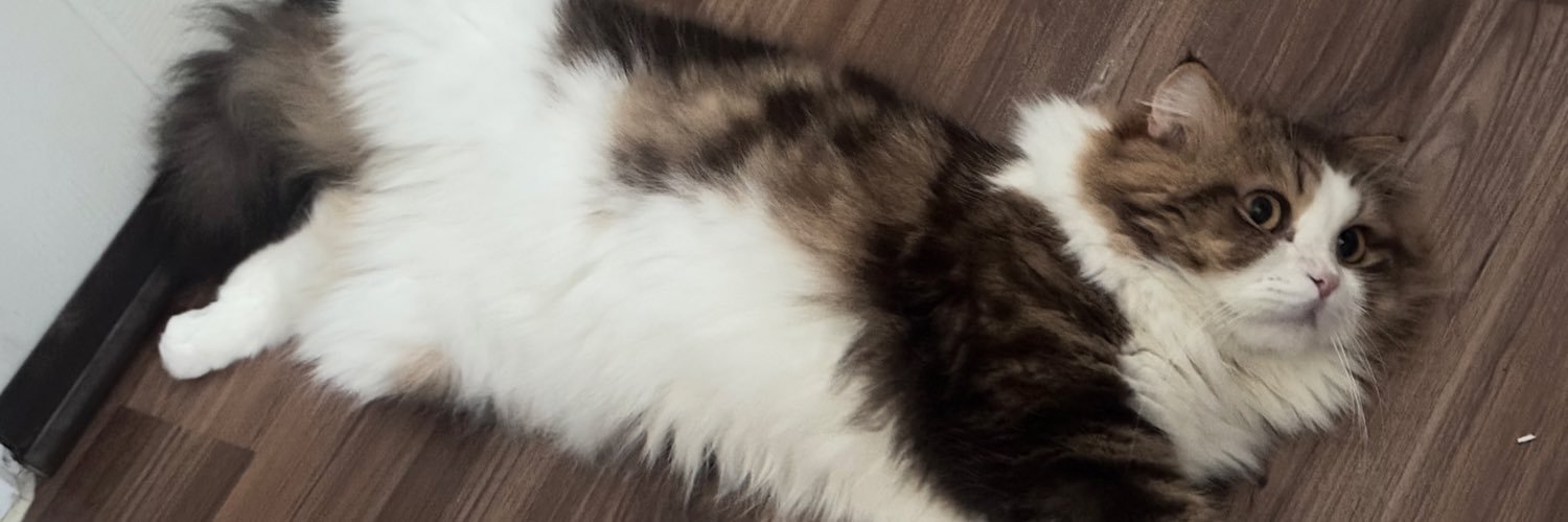 ขายของค่ะแม่เข้ามาดูก่อน💖 banner