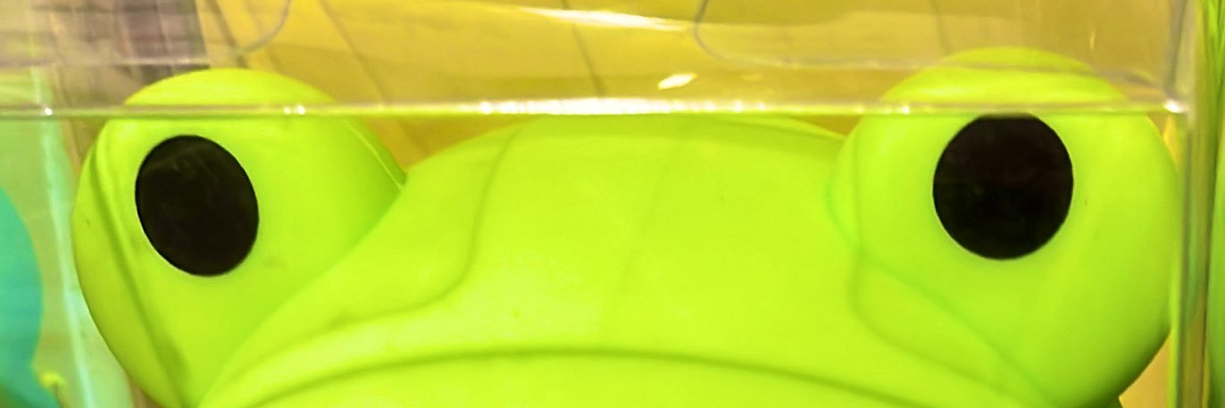 Crapaud Jaune banner