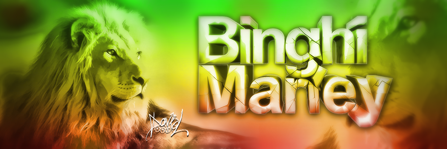 BinghiMarley banner
