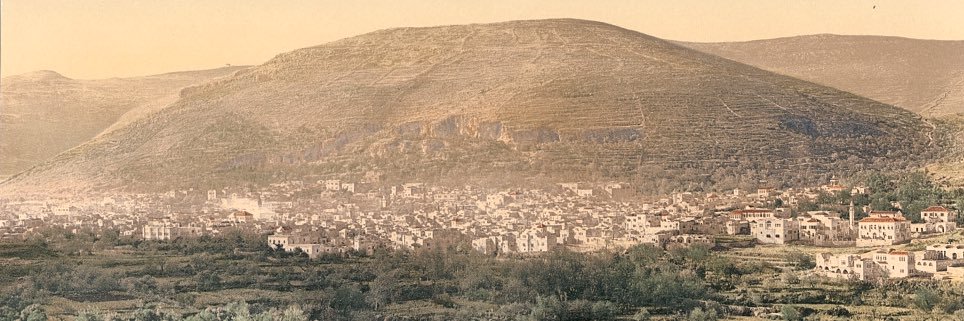 Adara 🦇༉ banner