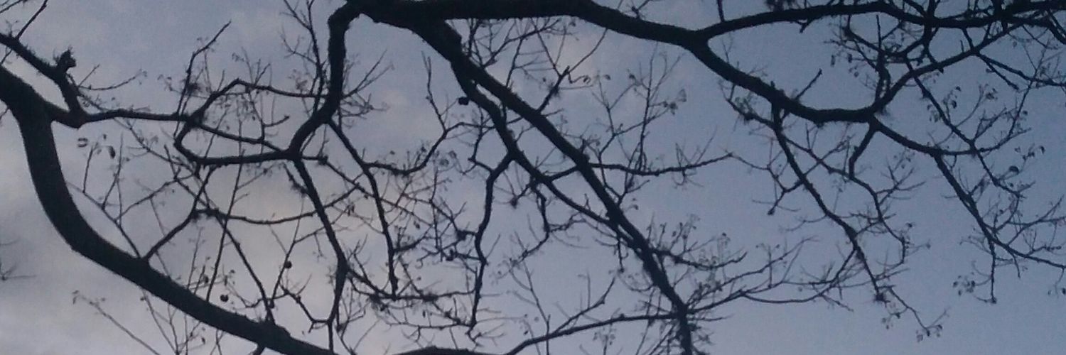 barchfeld_'s profile banner image