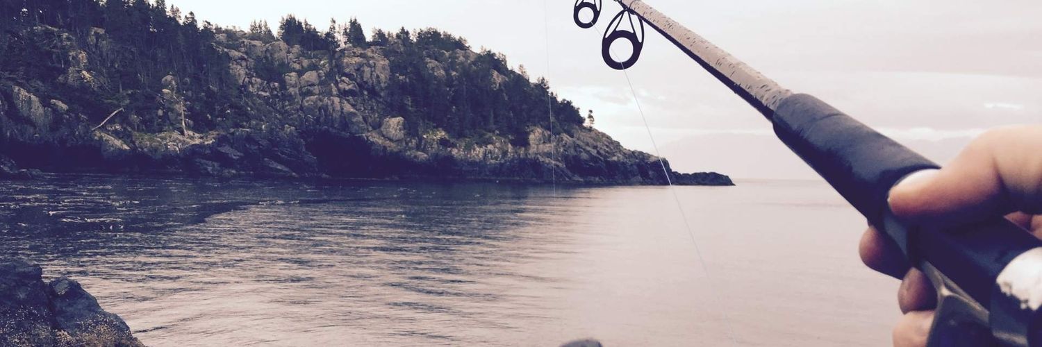 Fisherman in stock market banner