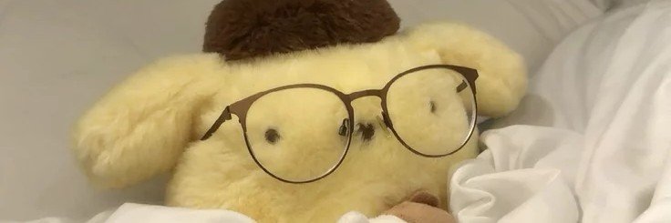 frieysa's profile banner image
