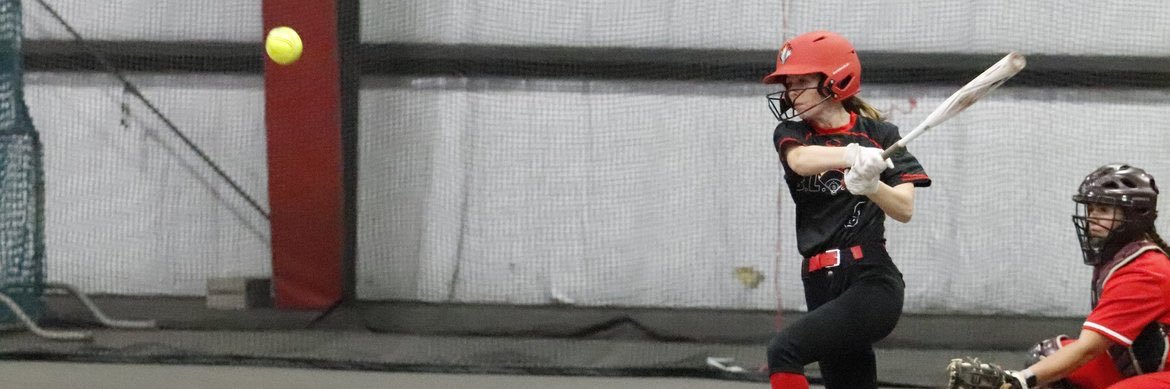 Addison Matherly banner