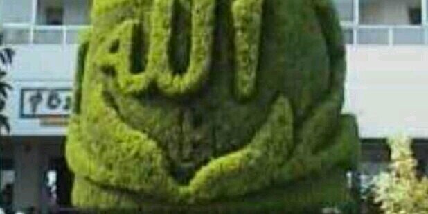 AymanShamah's profile banner image