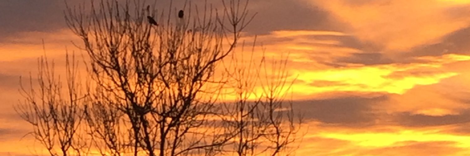 toci27's profile banner image