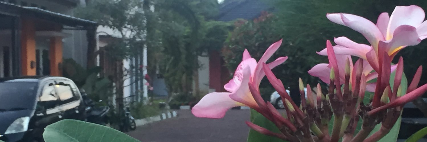 ipradita_'s profile banner image