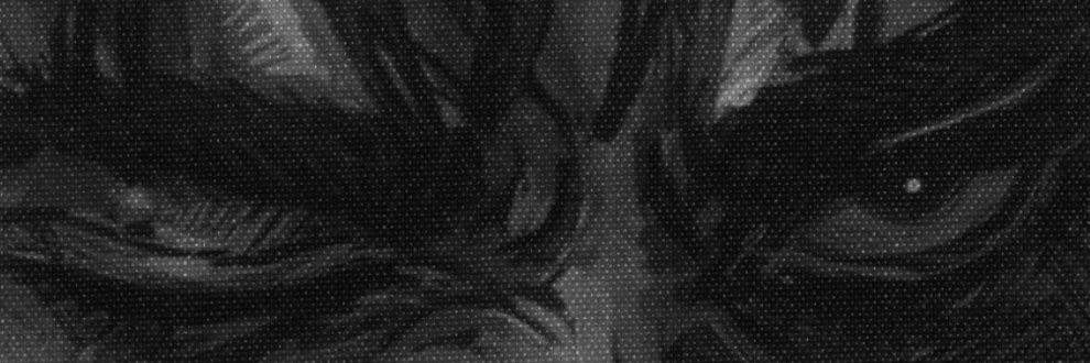 dibevuranadam's profile banner image