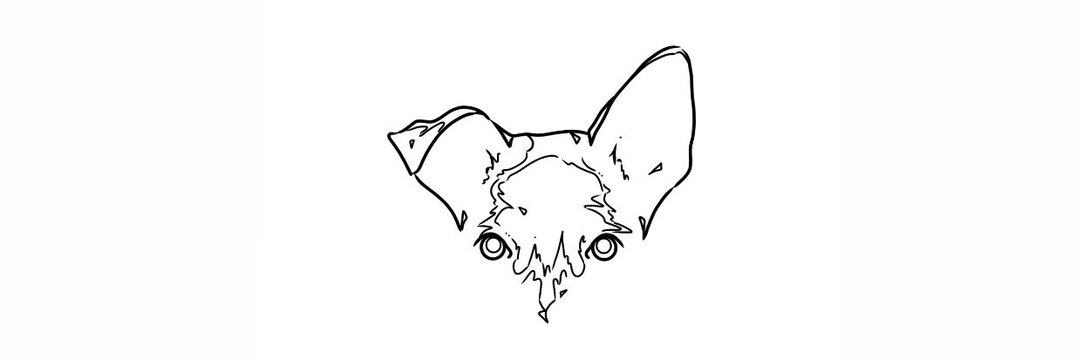 __AirWIN's profile banner image