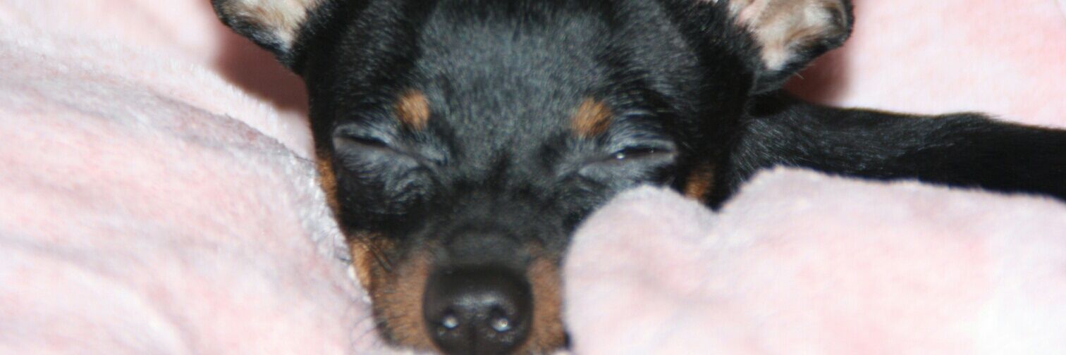 NoeliaLegazpe's profile banner image