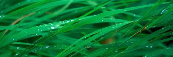 NinaMyskow Profile Banner