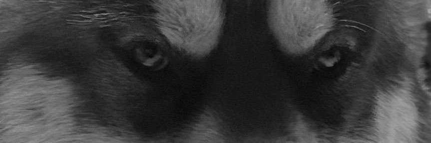 cristina024798's profile banner image