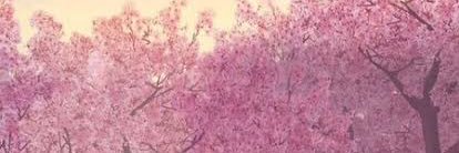 WilmaSMI's profile banner image